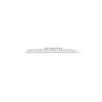Novation Launchkey Mini 37 MK4 White image 3