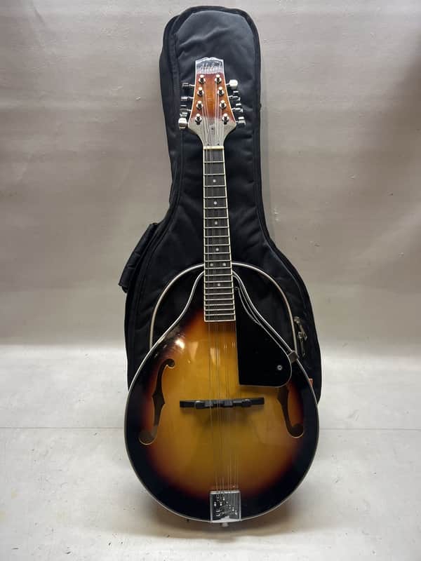 HOLA! MANDOLINS HM-SB 8 STRING MANDOLIN image 1