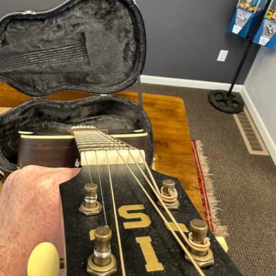 Iris  DF 2022 -Brazilian Rosewood - Iced Tea Burst image 18