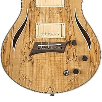 Michael Kelly MKHSSSPPYZ Hybrid Special Spalt Maple Top Mahogany Neck 6-String Electric Guitar image 5