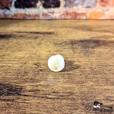 Vintage Plastic Strap Button (1960s - White) image 2