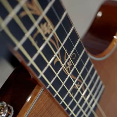Immagine Taylor T5 Custom Acoustic Electric Guitar - 4