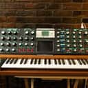 Beautiful Moog Minimoog Voyager Select Series - Jade/Walnut v3.5 - with case