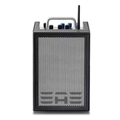 Elite Acoustics  A1-4 Carbon Fiber Black image 2