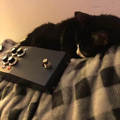 Univox Super Fuzz Clone image 2