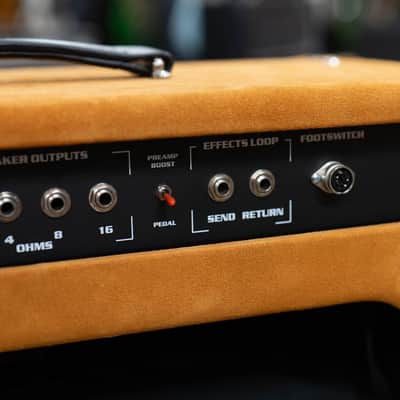 Amplified Nation Six String Sustain 50W Head & 212 Cab – Golden Brown Suede image 11