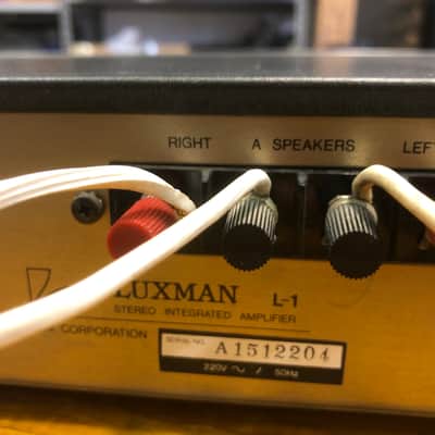 Immagine Luxman L-1 1982 - 6