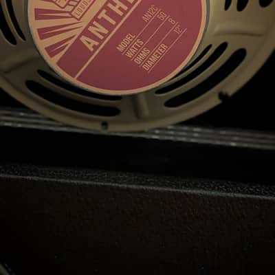 Princeton 65 DSP 1x12" SS Combo - MojoTone Anthem 12 Speaker image 6