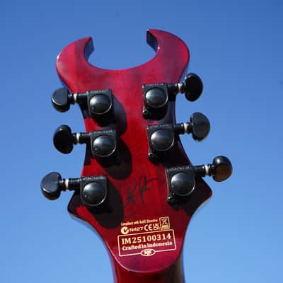 Schecter DIAMOND SERIES Synyster Gates Standard Plus   Transparent Deep Red 6-String Electric Guitar image 6