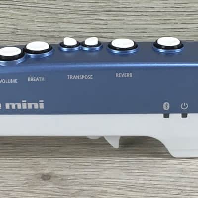Roland Aerophone AE 01 image 6