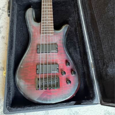 Spector Q5 Pro Black Cherry image 1