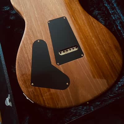 PRS Custom 22 Tremolo 10-Top 2019 - Yellow Tiger image 16