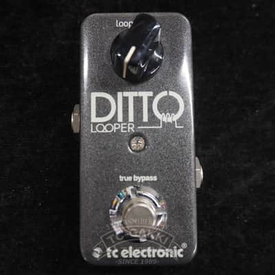 t.c. electronic DITTO LOOPER image 4