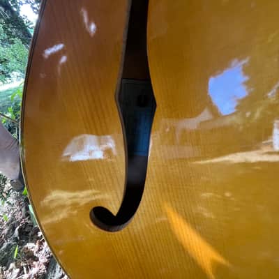 Immagine Epiphone Triumph Regent 1960-1965 - 7