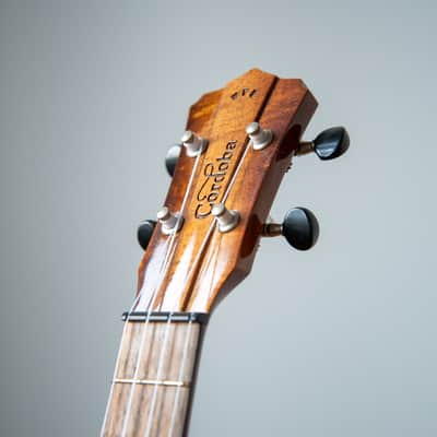 Cordoba 30T Tenor Ukulele 2010s - Solid Mahogany image 7