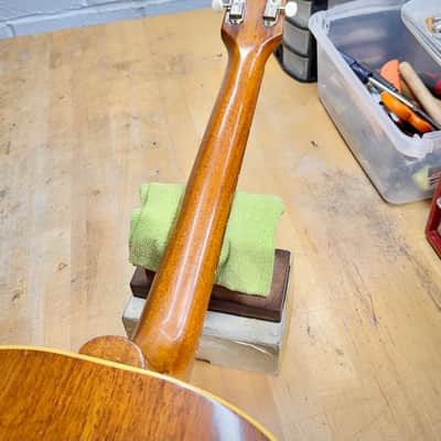 1955 Gibson J-50 image 10