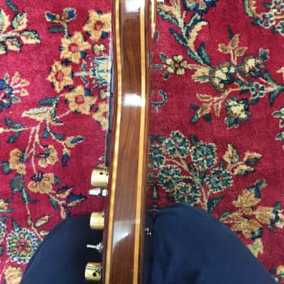 Resurrection Eagle 2011 Rosewood-Handmade Jerry Garcia Inspired Guitar image 3