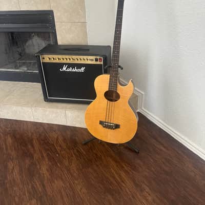 Washburn AB-10 - Natural image 2