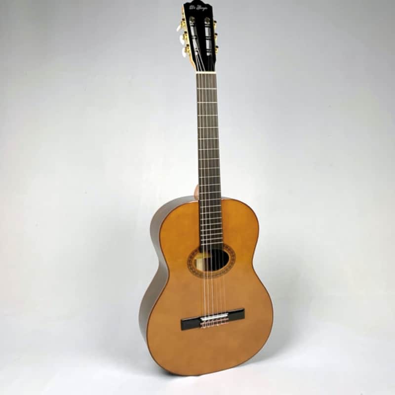Di Giorgio Tarrega Beautiful Bossa Nova Classical Guitar with bag