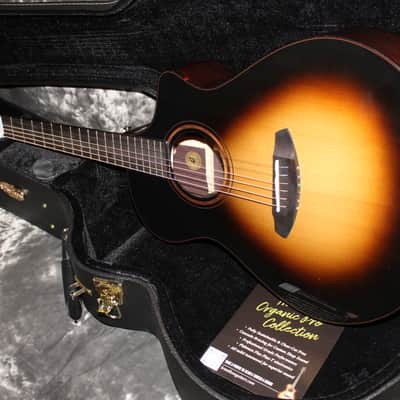 Immagine Breedlove Performer Pro Concert T CE 2024 - Tobacco Burst - 11