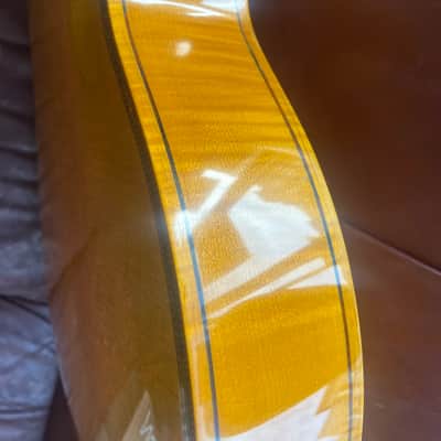Danche Archtop Mid 90s - Nitrocellulose image 5