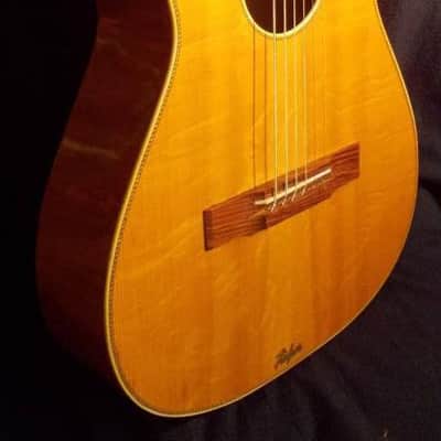 Hofner 517 model. 1959 image 7
