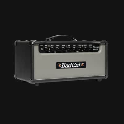 Bad Cat Era 30 Mark Sampson's 30-watts Head Amp - Gray image 2