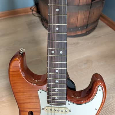 Fender Semi Hollow Stratocaster 2019 - AAA flame ice tea image 17