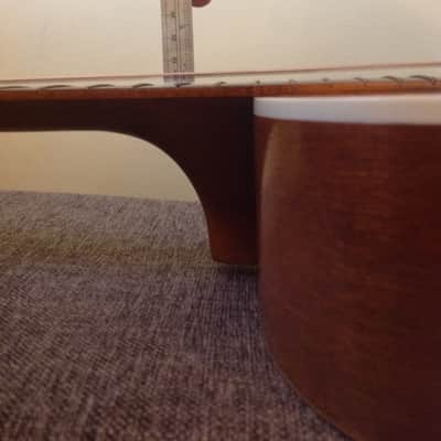 Vintage Paramount by Harmony USA-Made 12 String image 8