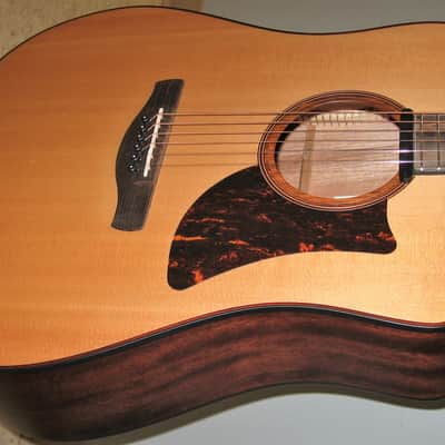 Ibanez AAD300CE-LGS Advanced Acoustic Dreadnought - Natural Low Gloss image 3