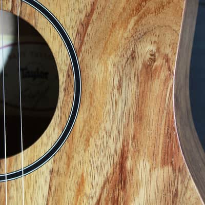 Taylor BT-E Koa Baby Taylor w/ ES-B Electronics Acoustic Guitar image 17