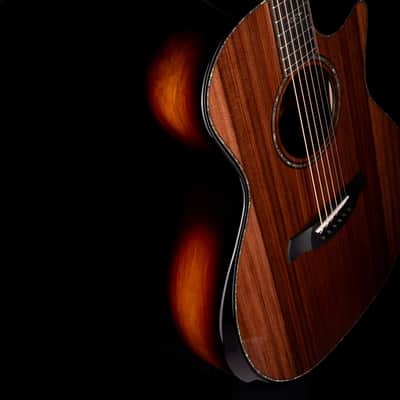 Taylor Builder's Edition 914ce Grand Auditorium Natural with Case image 8
