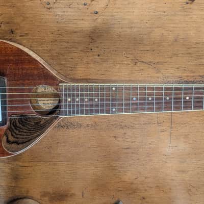 Paul E. Smith Git'r - Mandolin with guitar neck/tuning. 2001 - Not sure image 1