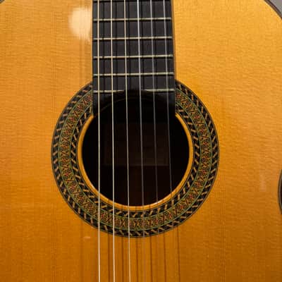 Antonio Picado 62 2011 image 5