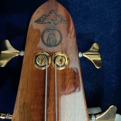 Alembic Exploiter 1983 Gloss image 4