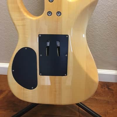 Dean Custom 350 W/Floyd comes with HSC image 10