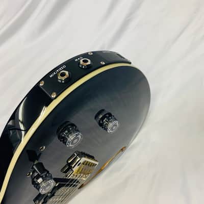PRS SE Custom 24 Semi-Hollow Piezo image 24