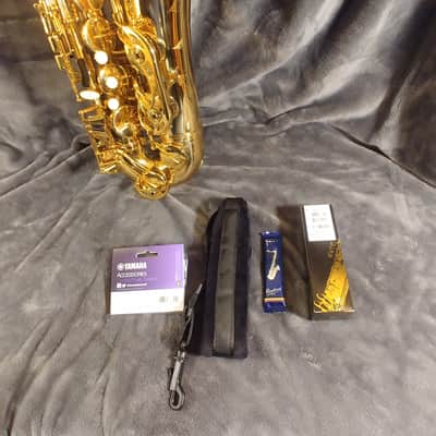 Selmer  Giardinelli GTS-12 Series - MINT - Ready for Owner image 3