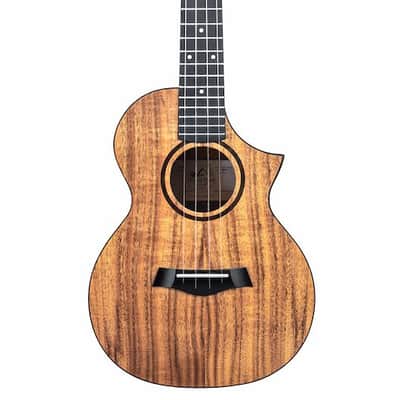 Twisted Wood Switchback Concert Ukulele - Solid Koa Top - SW‑700C image 7