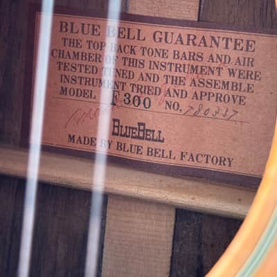 BLUEBELL F-300 – Natural, Lawsuit era, 1978 image 12