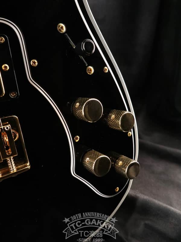 FREEDOM CUSTOM GUITAR RESEARCH 2021 Black Pepper | Reverb Australia