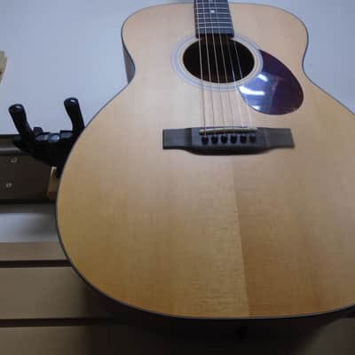 Eastman E1OM w/bag image 2