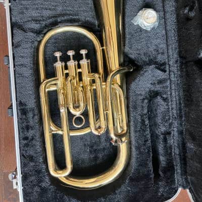 Alto Horn with case and mouthpiece. Gold color image 4