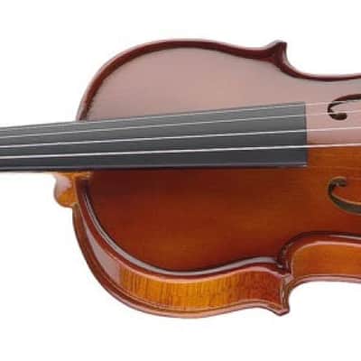 Stagg VN-3/4 EF 3/4 Solid Spruce Top Maple Neck 3/4 Size Violin Ensemble w/Soft Case, Bow & Rosin image 3