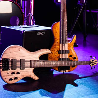Cort A5 Plus SC | 5-String Bass Guitar. Amber Open Pore. New with Full Warranty! image 12