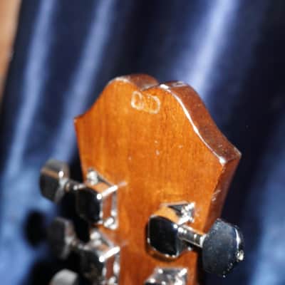 Epiphone FT-100CENA image 10
