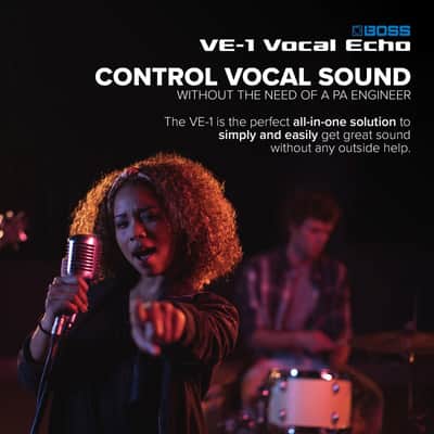 Mint Boss VE-1 Vocal Echo image 3