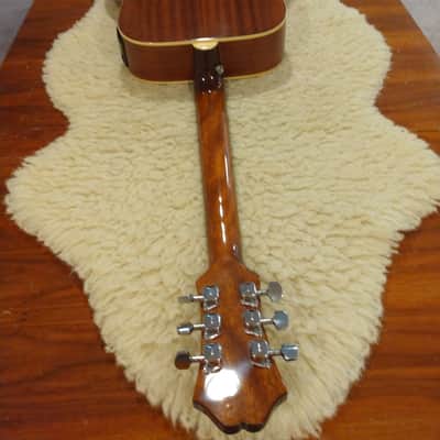Epiphone 2018 PR150VSAE Tobacco Sunburst Acoustic Electric w/Padded Gig Bag image 11