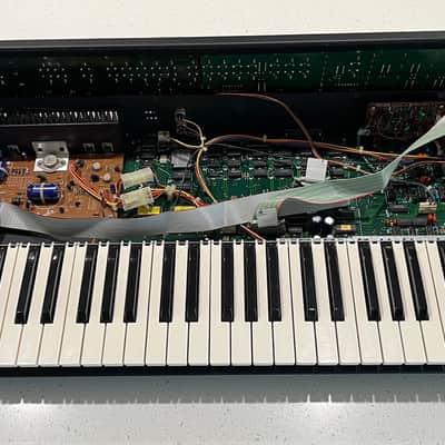 Fender/Rhodes Chroma Polaris II image 5