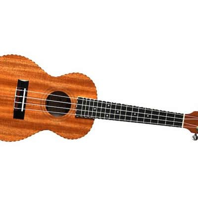 Twisted Wood Guitars Original Concert Ukulele Laminate Mahogany w/rope binding - padded gig bag image 3
